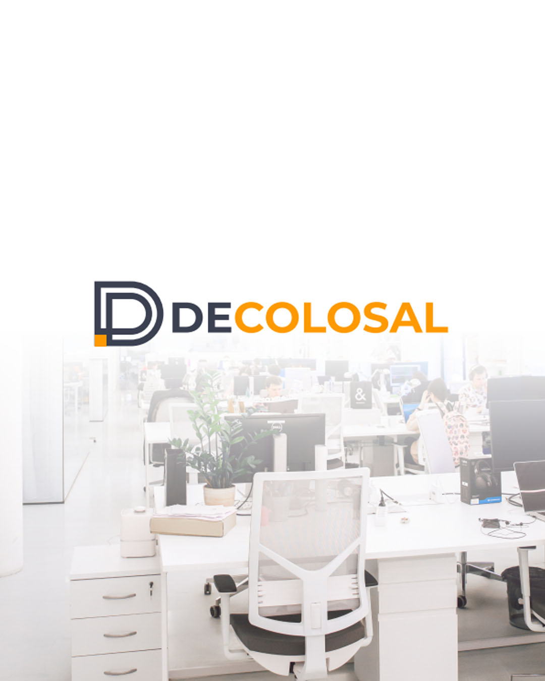 Decolosal Proyecto 1